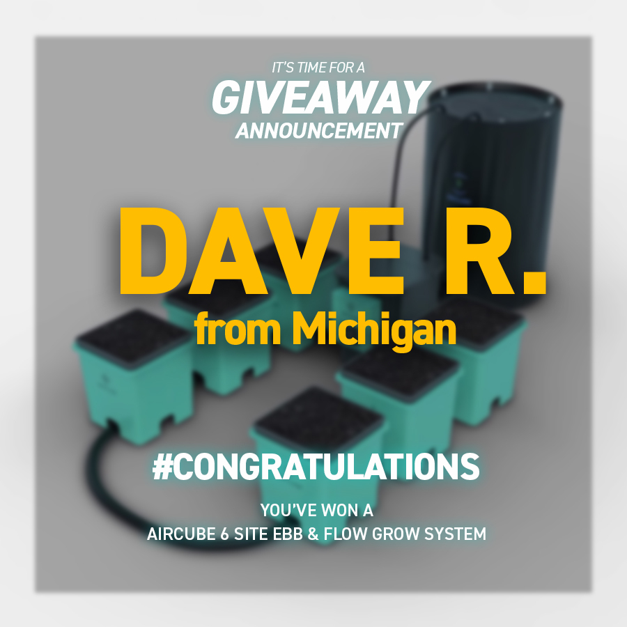 Grow Ace tweet media