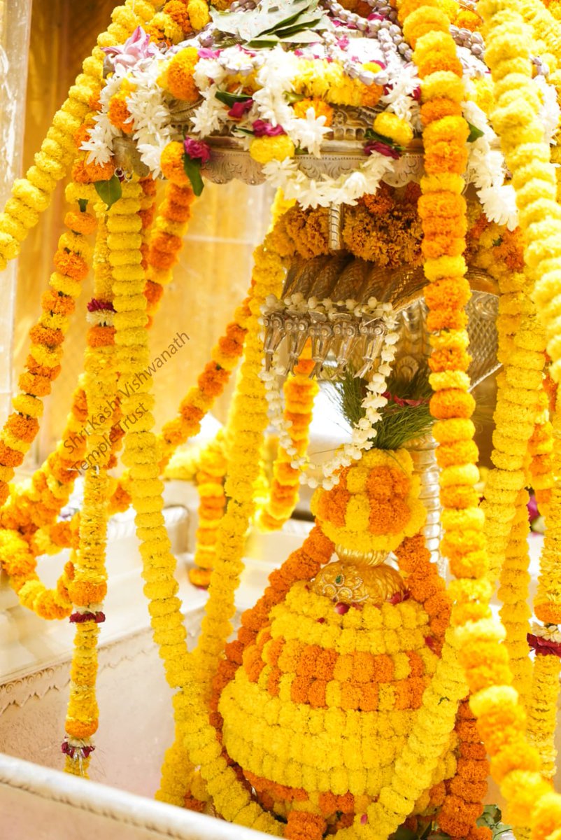 ShriVishwanath's tweet photo. दिनांक 19-04-2024 को श्री काशी विश्वनाथ मंदिर में शयन आरती के भव्य दर्शन
Shri Kashi Vishwanath's official social media handles:
Facebook - https://t.co/6M7tzfJ9he
Twitter - https://t.co/lBHmGmqnSt
Instagram - https://t.co/3pjtd6izJQ
Youtube - https://t.co/SVssxxEYp1 https://t.co/TKAqZTtx5w