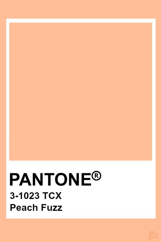 BlueBird_Noelle's tweet image. Art History in @pantone color: a 🧵
PANTONE 13-1023 #PeachFuzz (the 2024 color of the year)