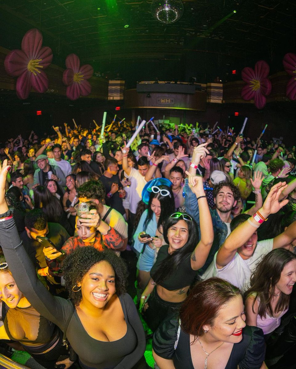 ✨🪩✨ tweet media