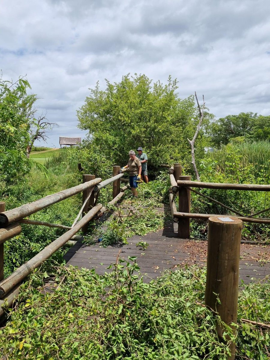 A huge shout out to the SANParks Honorary Rangers: Lowveld Region, for having built and completed this new walkway at the Skukuza Nursery. 🙌🏾 #LiveYourWild Kudos to all involved!