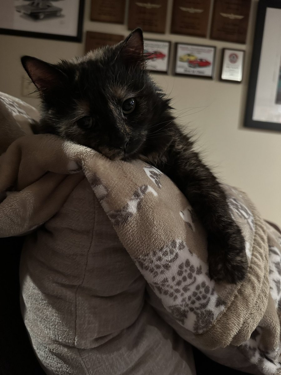 Krystin Hoppel tweet media