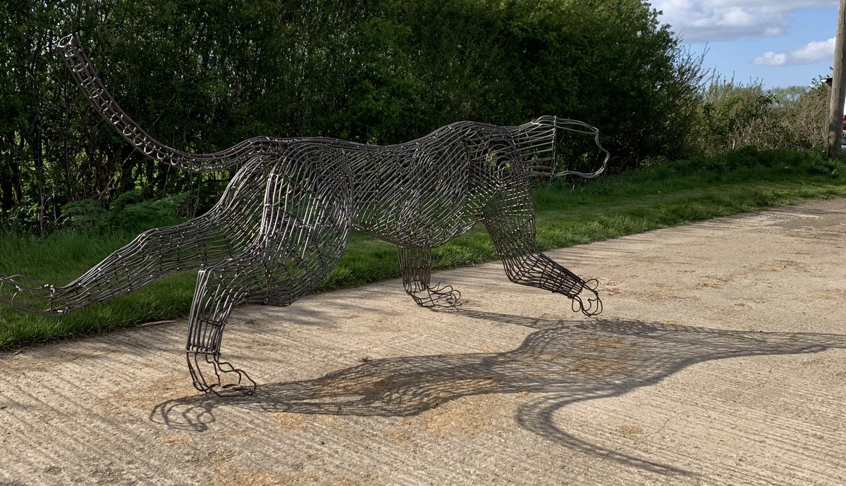 Jack Russell tweet media