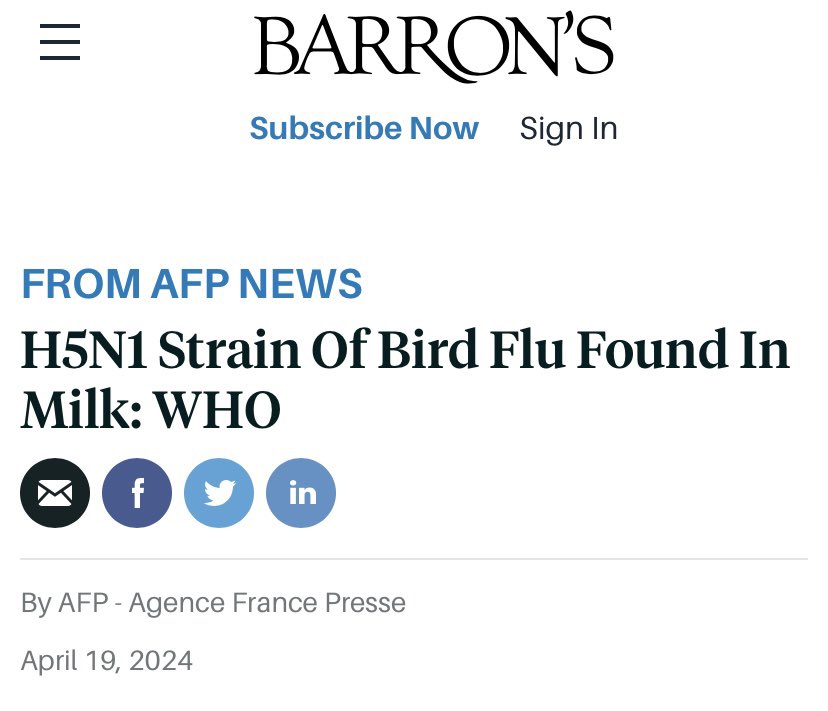 🚨 “The virus has also been detected in milk from infected animals. Zhang said there was a ‘very high virus concentration in raw milk,’ but experts were still investigating exactly how long the virus is able to survive in milk.” barrons.com/news/h5n1-stra…