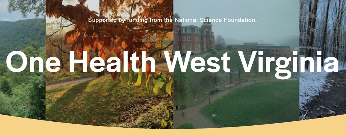 One Health - U of Guelph tweet media