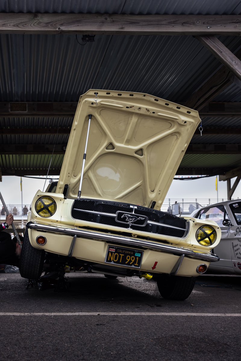 CREAMY TEA
#IMAGEBYOVERY
#Mustang60
#GRRC
#KenMilesCup
#FridayVibes 
#80MM