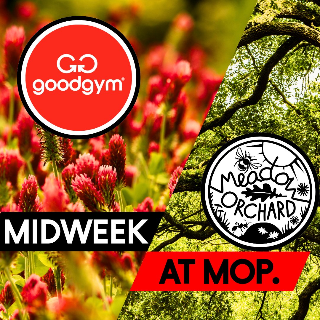 We are joined by @GoodGymHaringey this Wednesday at 7.00pm! Please do join us if you'd like to help plant hedging, barrow woodchip for paths and share a soup or hot drink around the fire! @goodgym @TCVHaringey @HaringeyCircle @hcentralcafe @Capital_Growth