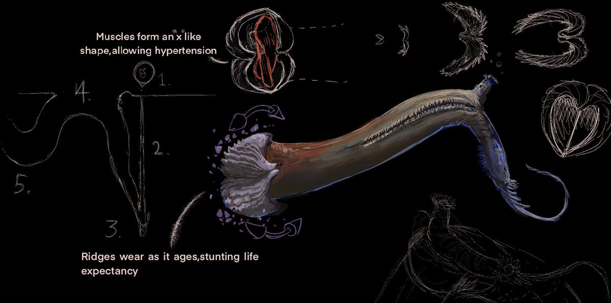 A bizarre creature beneath the benthos on  #bivalvopia
Circa 80 millions post introduction of mussels,flaky mussagels are ecosystem engineers ,mixing the soil and allowing water to penetrate deeper as it fills their burrows,made with the help of an specialized shell…