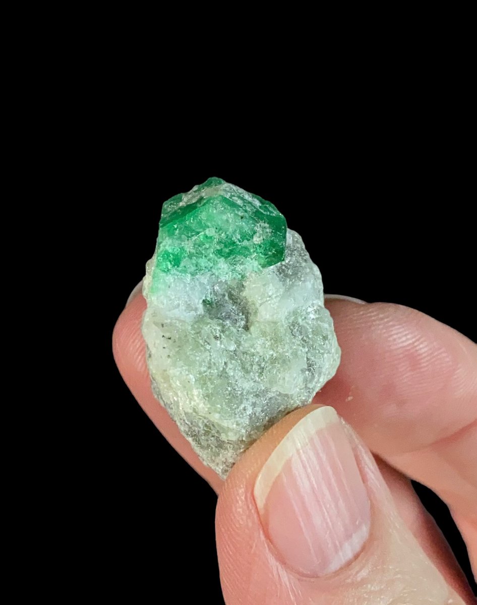 Emerald Crystal on Matrix. 

oldearthminerals.com/shop/p/natural…

#emerald #crystals #green #minerals #mineralspecimen #beryl #emeraldcrystal #naturalemerald