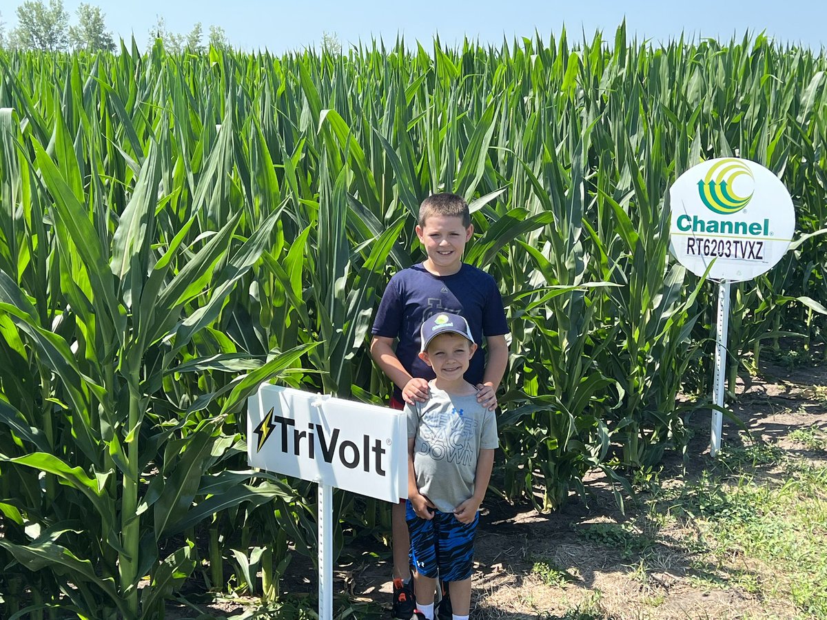 AllianceAgSolu1's tweet photo. Get the most out of your @ChannelSeed genetics by protecting it with @Bayer4CropsUS  crop protection. 

@Bayer4CropsUS has:

✅Awesome weed control 
✅Excellent crop safety
✅Convenient low use rates 
✅Great local support 

#TriVolt #DelaroFungicide 
#RiseToTheChallenge https://t.co/makXpGuJEj