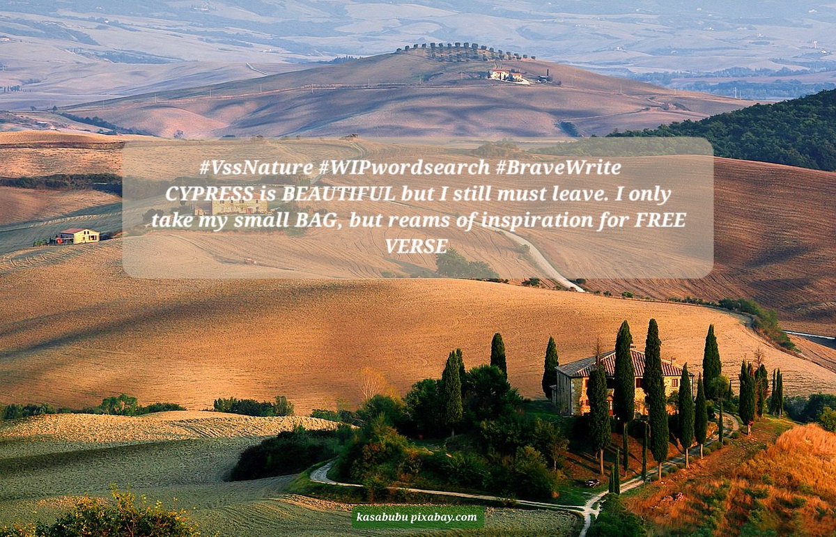 #VssNature #WIPwordsearch #BraveWrite   
CYPRESS is BEAUTIFUL but I still must leave. I only take my small BAG, but reams of inspiration for FREE VERSE 
kasabubu pixabay.com