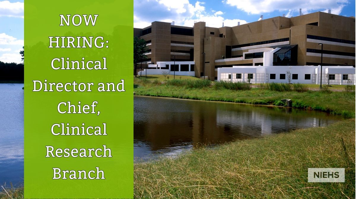 🔬 NIEHS is seeking clinician- scientist candidates for a Clinical Director and Chief of the Clinical Research Branch. Responsible for the development, administration, coordination, and oversight of investigator-initiated clinical research + more. niehs.nih.gov/careers/jobs/c…