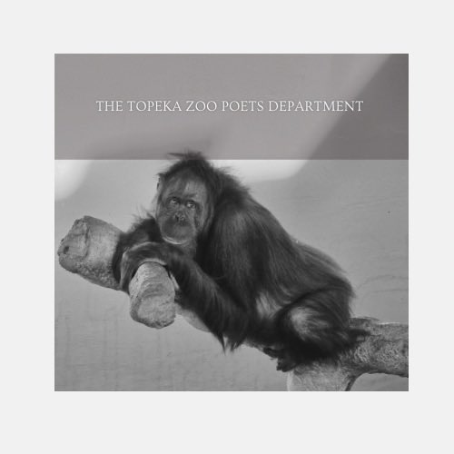 TopekaZoo's tweet photo. New album just dropped 💿 with tracks including…

1. Zoo Night
2. The Topeka Zoo Poets Department
3. My Lion Only Breaks His Favorite (Enrichment) Toys
4. Are You Afraid of Little Old Rudy?
5. Kansas!!!

Which one are you streaming non-stop? 🎵

#swifties #topekazoo #TaylorSwift https://t.co/SzsYSTjsh1