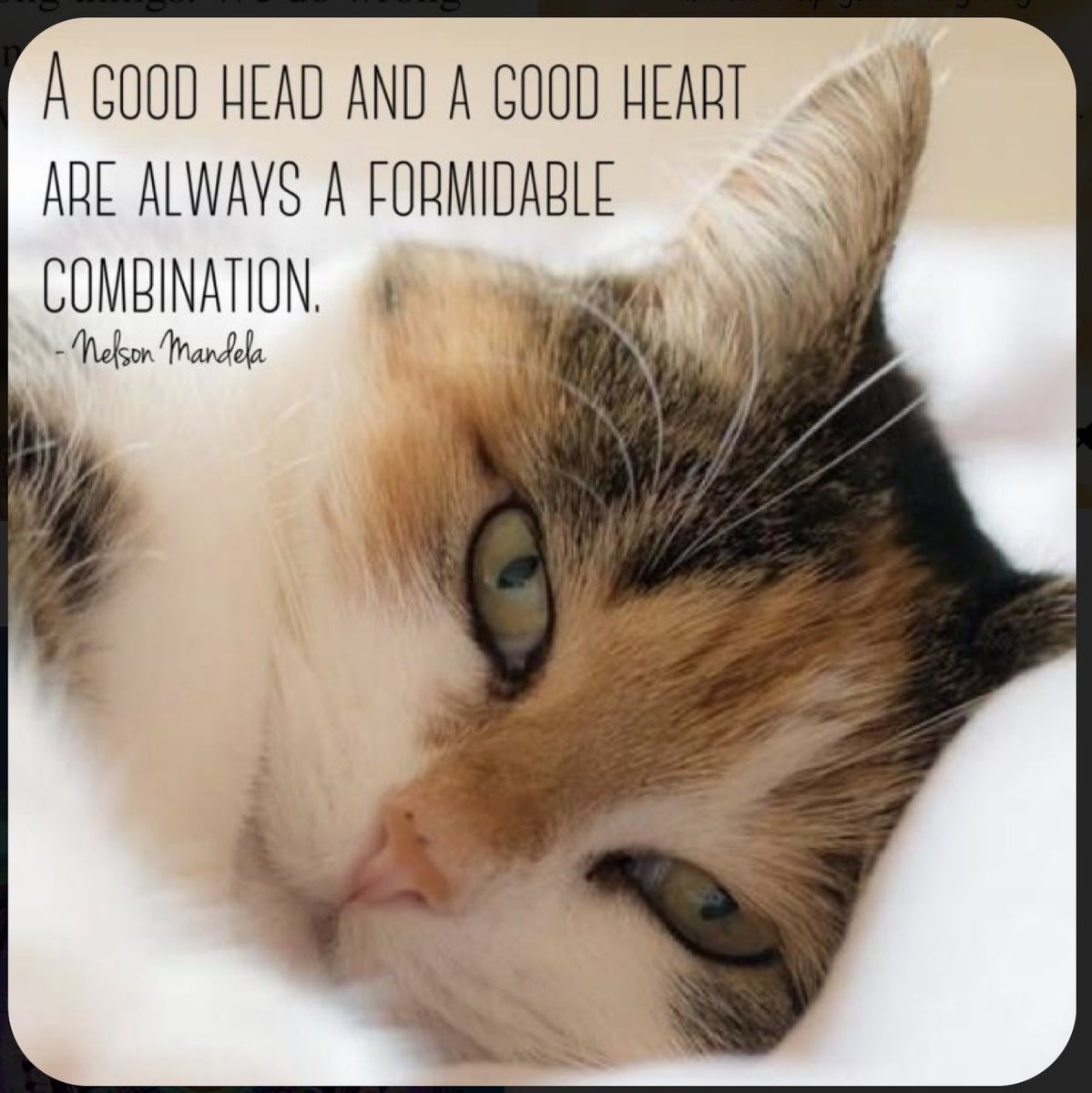 A Good Head and a Good Heart ❤️