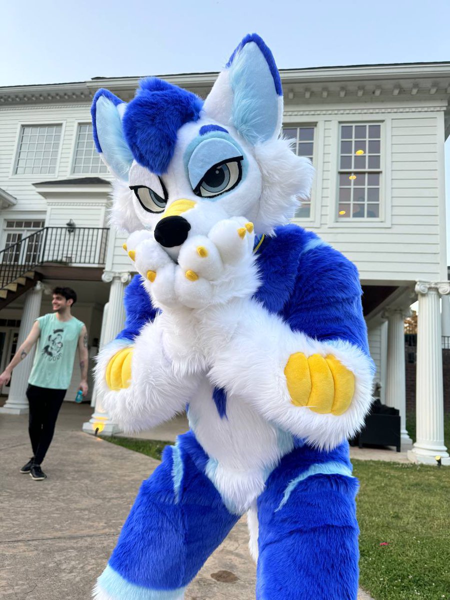 HAPPY #FursuitFriday!! SOARIN. IS. REAL. My fursona has been brought to life by @ScarletWingsFS and I am overjoyed with how he looks!