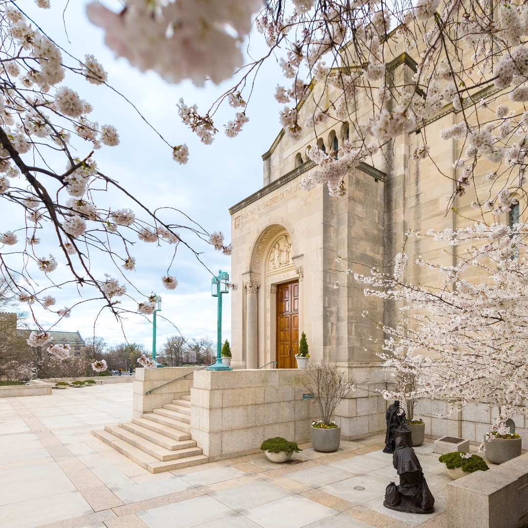 “Praise the Lord, for he is good;
for his mercy endures forever.” – Psalm 136:1

#CatholicChurch #cherryblossoms