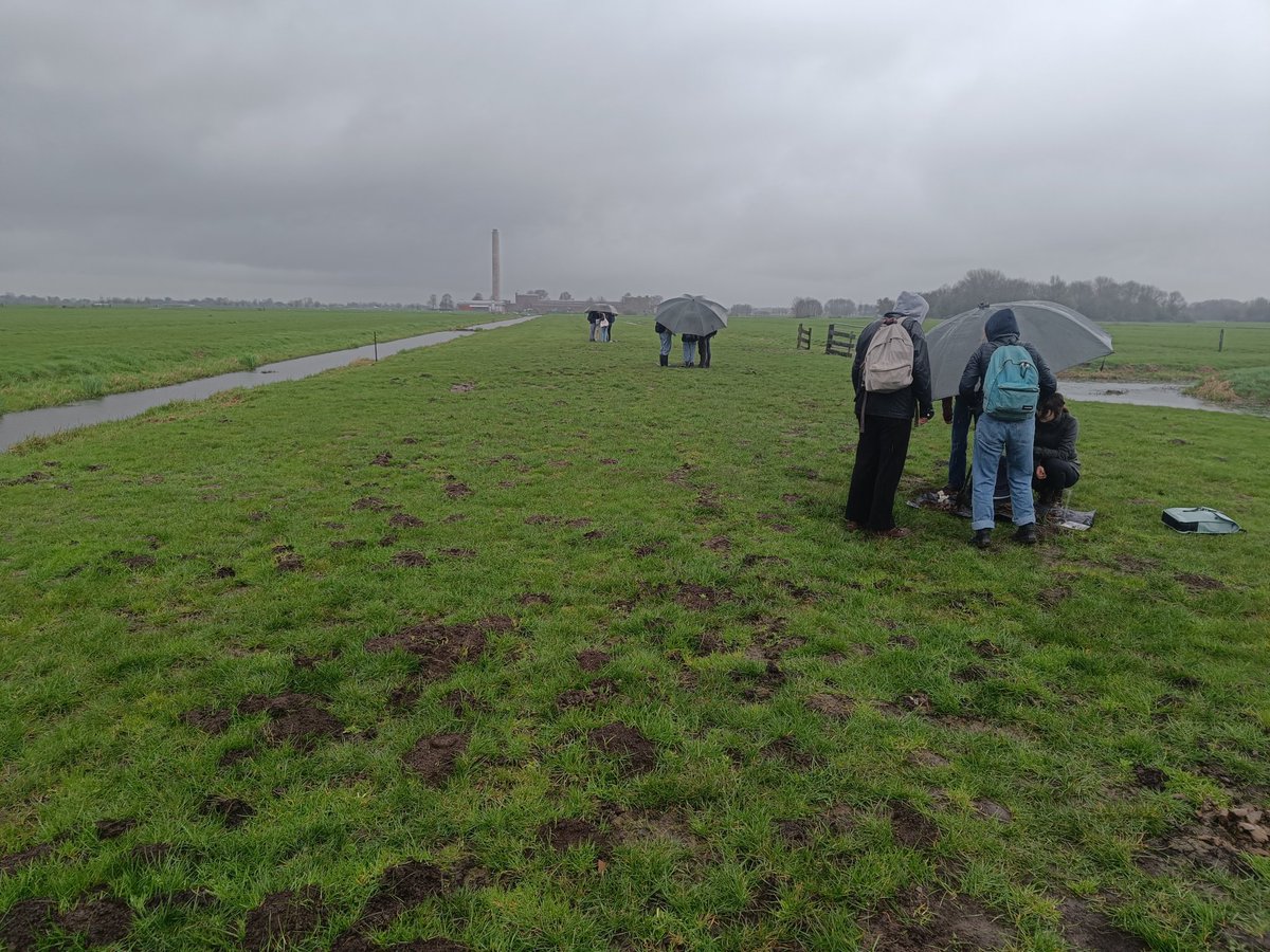 Everhard Van Essen tweet media