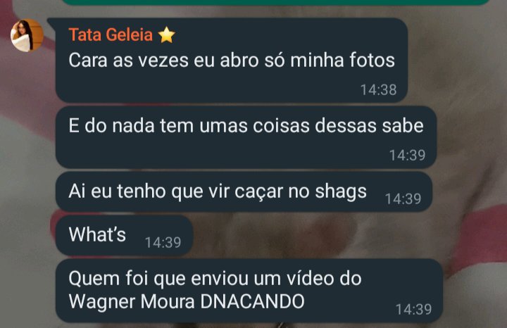 iconicisv's tweet photo. eu no meu dia menos fã do daddy wagner moura https://t.co/fIMDVgoqKI