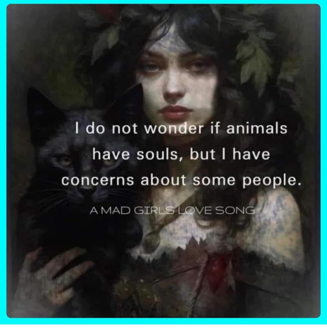#veganism #govegan #animals #respectlives #animalivesmatter #stopkillinganimals #liveandletlive