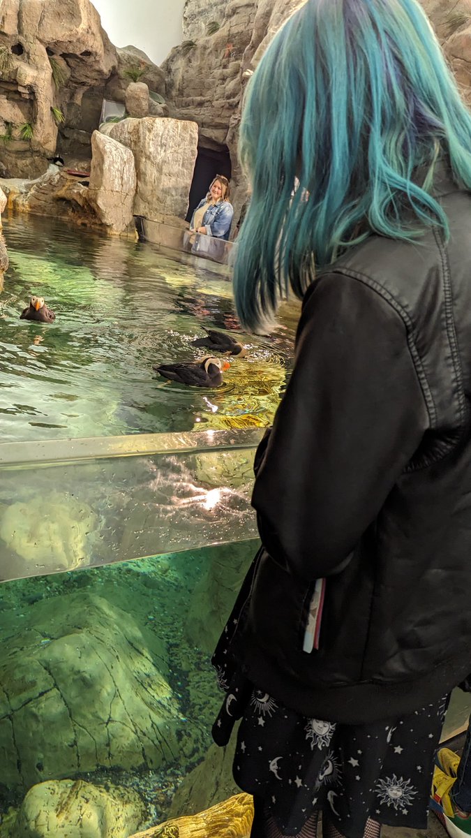 She got to see puffins c: