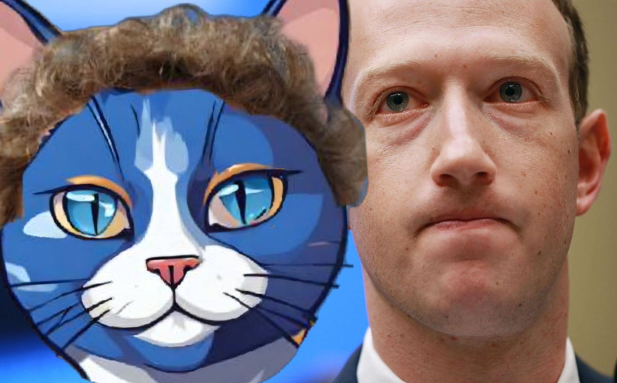 CatbookCTO's tweet photo. 🐱🧏‍♂️ https://t.co/9X32mxjQj5