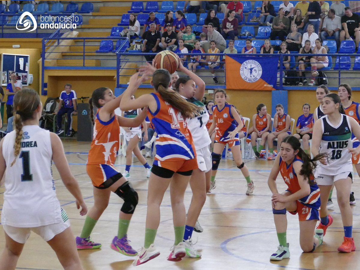 fabhuelva's tweet photo. 🏆#FFINFFEM2024⛹️‍♀️ J1

🏀 La Palma se embolsa el primer triunfo de la fase.

@CBLaPalma95 7️⃣1️⃣ - 4️⃣0️⃣ @CbLepeAlius 

📊 Estadísiticas en vivo con #AficiónFAB

#baloncestoandalucia https://t.co/w1fYwhS1C3