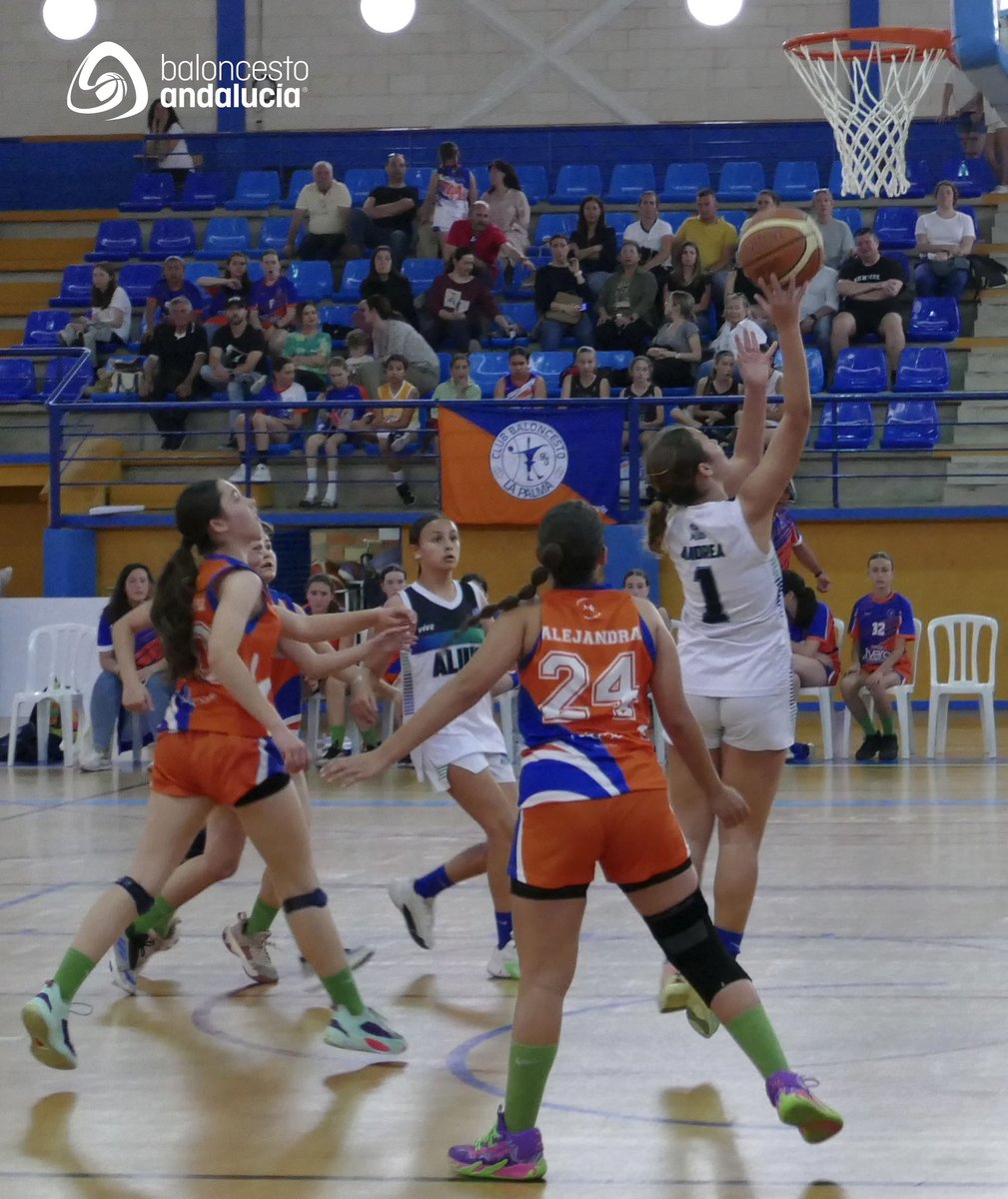 fabhuelva's tweet photo. 🏆#FFINFFEM2024⛹️‍♀️ J1

🏀 La Palma se embolsa el primer triunfo de la fase.

@CBLaPalma95 7️⃣1️⃣ - 4️⃣0️⃣ @CbLepeAlius 

📊 Estadísiticas en vivo con #AficiónFAB

#baloncestoandalucia https://t.co/w1fYwhS1C3