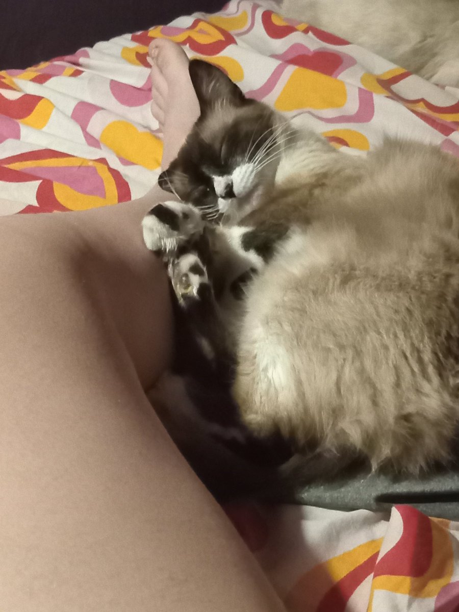 Mi bebesita💞 <a href="/NatsukiSel/">Natsuki Sel🎨</a>