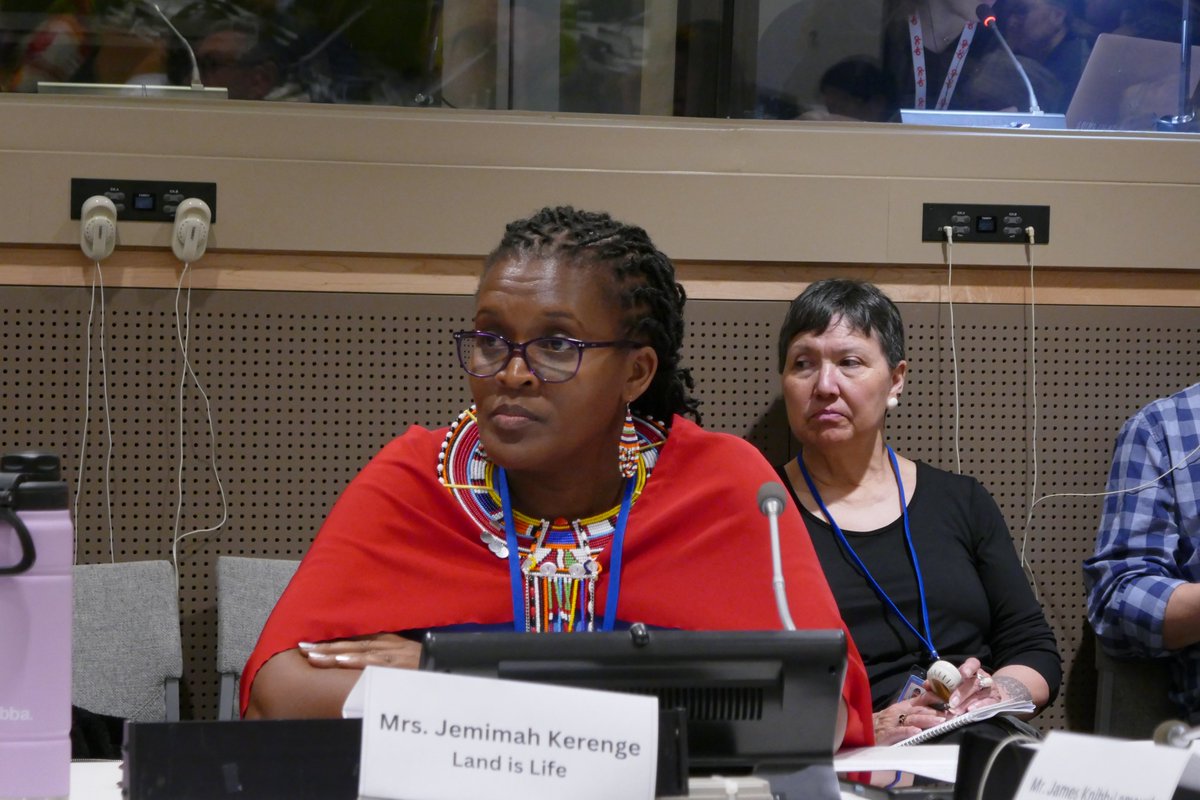 landislife's tweet photo. UNPFII 2024 
UNITED NATIONS PERMANENT FORUM ON INDIGENOUS ISSUES

SIDE EVENT: INDIGENOUS KNOWLEDGES, ADVANCING THE 2030 AGENDA

Jemimah Kerenge, Maasai, Kenya and Land is Life 
In our community traditional knowledge is passed on through our cultural traditions, including stories and  dance, and young people are encourgaed to connect with their environment and also with the spiritual side of the community and with the community elders
@ArramatProject @TinhinanCa @jemimah_mk @Brian_J_Keane @MAboubakrine @jemimah_mk #MujeresIndigenas @fenamad @servindi @CONAIE_Ecuador @confeniae1
@aidesep_org @confeniae1