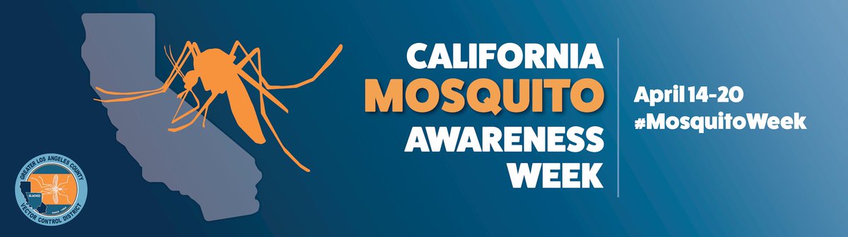 It's California Mosquito Awareness Week! A new @secvbd vector-borne disease fellowship opportunity and CDC webinar on dengue program-led response are highlighted in this week's PacVec Newsletter 4-19-2024: mailchi.mp/aad1afb900a1/p…