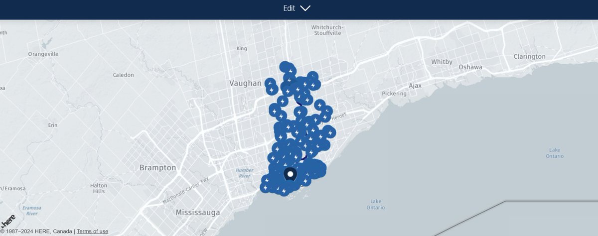 Courtney Stone tweet media