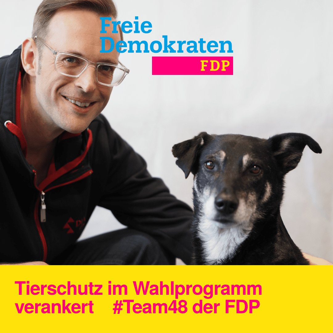 Ich bin dankbar, dass @FDPKarlsruhe den #Tierschutz im #Wahlprogramm verankert hat 🙏🏻 #Verantwortung gilt auch für unsere #Fellnasen. Danke an alle, die sich engagieren.
#wirvorort #Ehrenamt #Karlsruhe #Team48 #kwbw24 #wirsindviele #Rechtsstaat