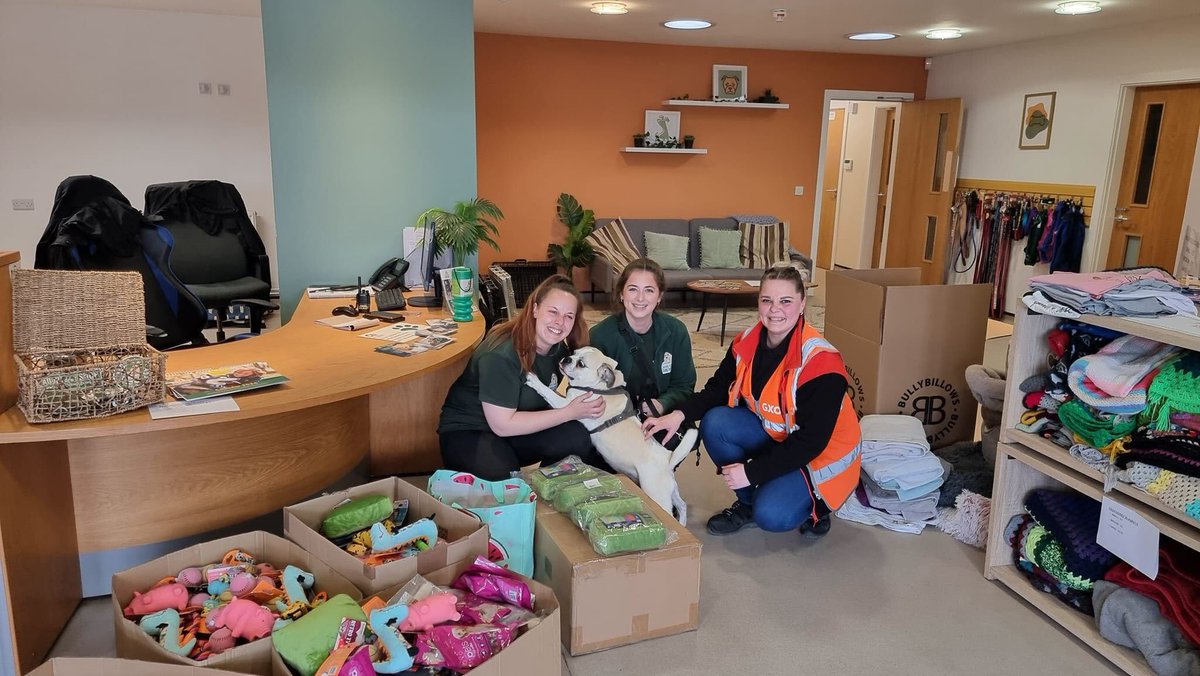GXOers in Ollerton, UK visited their local @JerryGreenDogs to deliver a much-needed donation of toys and treats. 🐶 GXOer Kristina Gotautiene dropped off the packages in person and even got a special visit from Bailey the Pug! #MakeAnImpact