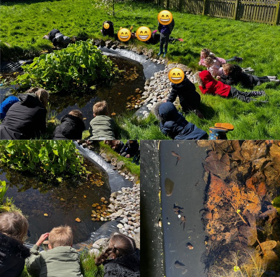 Reception had so much fun at Forest School! They enjoyed exploring the schools pond and its wildlife! They couldn’t believe their luck when they saw hundreds of tadpoles! The children discussed a frogs life cycle.  Reception can’t wait to come back in a few weeks 🐸
#WeAreGAT