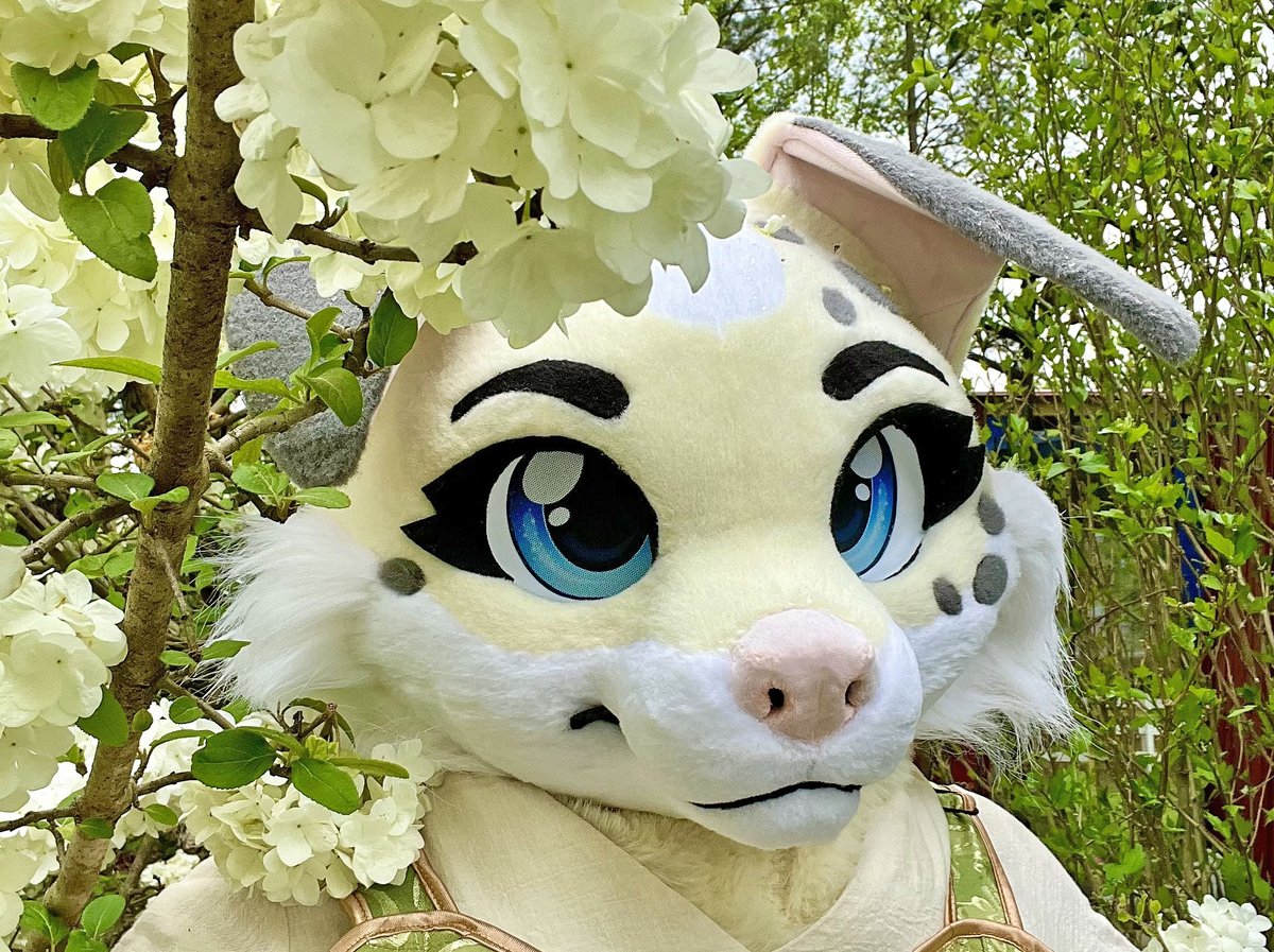 yska fursuit friday in the snowball trees 🌸🦊🐶

[🪡: <a href="/arcadianatelier/">arcadian atelier</a> + <a href="/stuffedpanda/">🐼 Stuffed Panda Studios 🐱</a> ]