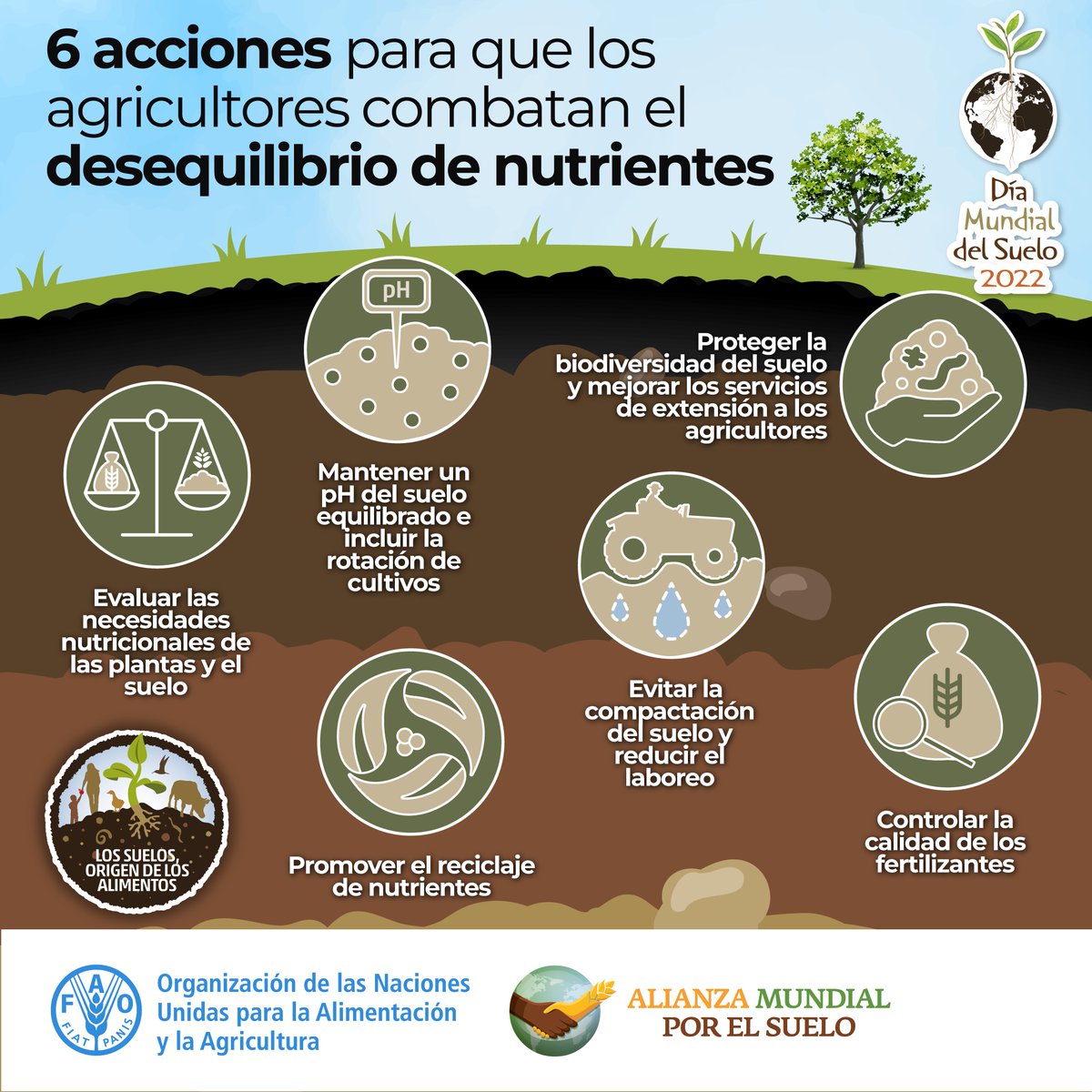 🌱 Los suelos son el origen de nuestros #Alimentos. 🌳 Aquí hay 6 formas de prevenir el desequilibrio de nutrientes en los suelos 👇 ¡Ayudanos a proteger los suelos y compartir esta información! #AcciónPorElSuelo