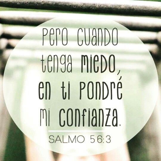 ¡Hoy levanta tu fe! Confío en ti, mi Dios, y ya no siento miedo 🙌

#DevocionTotal #confianzaenDios #versiculobiblico #reflexionescristianas #fe #vidacristiana #PalabradeDios #cristianismo #temor #salmosdelaBiblia #imagenescristianas