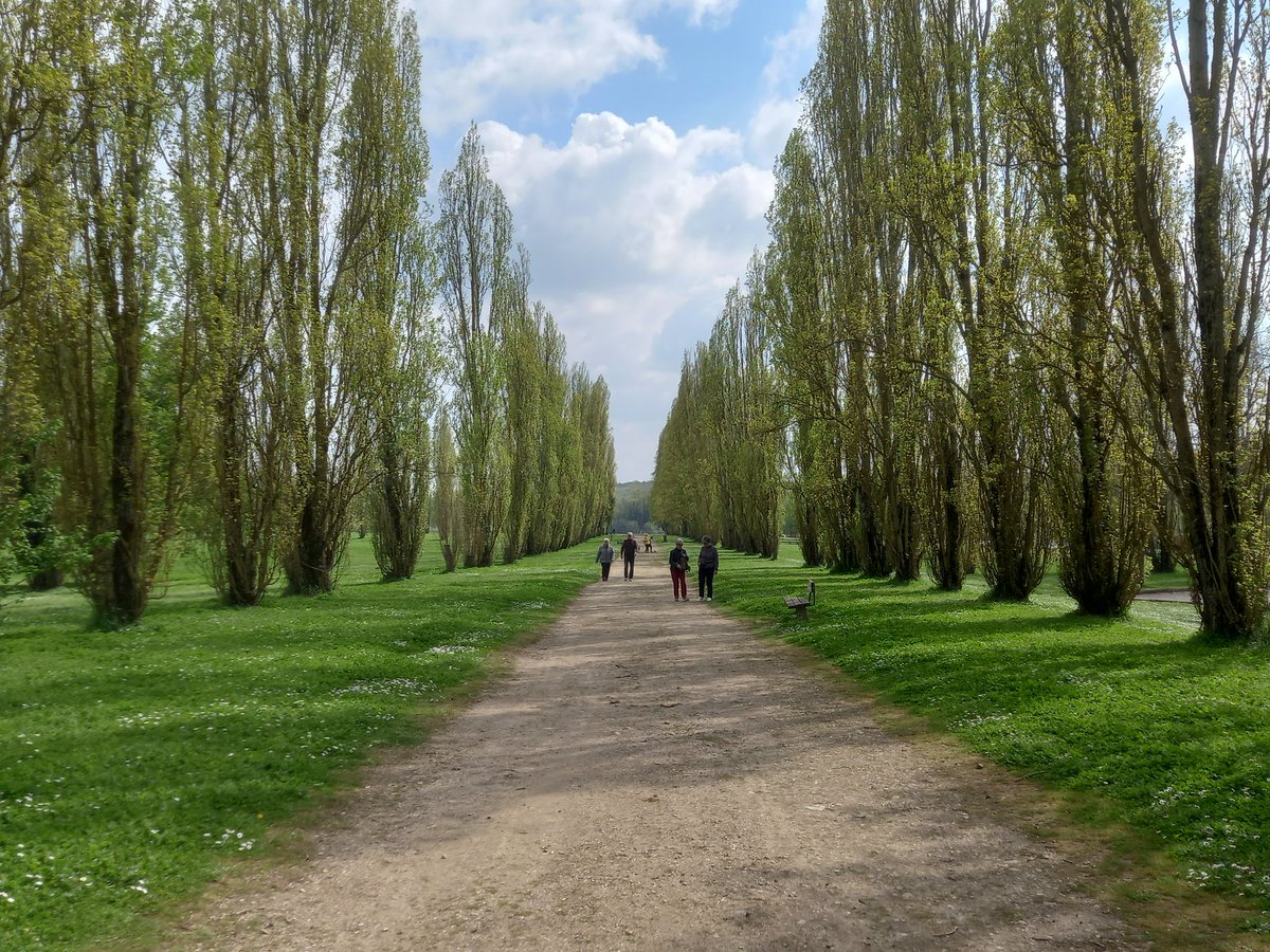 ✅ Châtellerault est une ville où il fait bon vivre 💚
#chatellerault #chatelleraultmaville #grandchatellerault #vienne86 

2/2