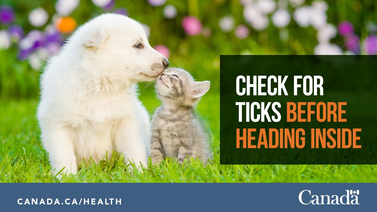 Ticks can be active even when it’s cold outside so it’s important to check your pets for ticks after being outdoors. Talk to your vet about prevention options for your pets.

Learn more: ow.ly/YMMX50RghQO

@CanVetMedAssoc
#TickSmart