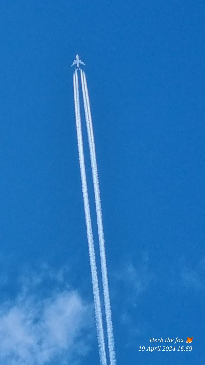 The only one in an almost blue sky. 🤬🤬🤬

@UPS airlines, 35k feet

#nameandshame
#GeoEngineering