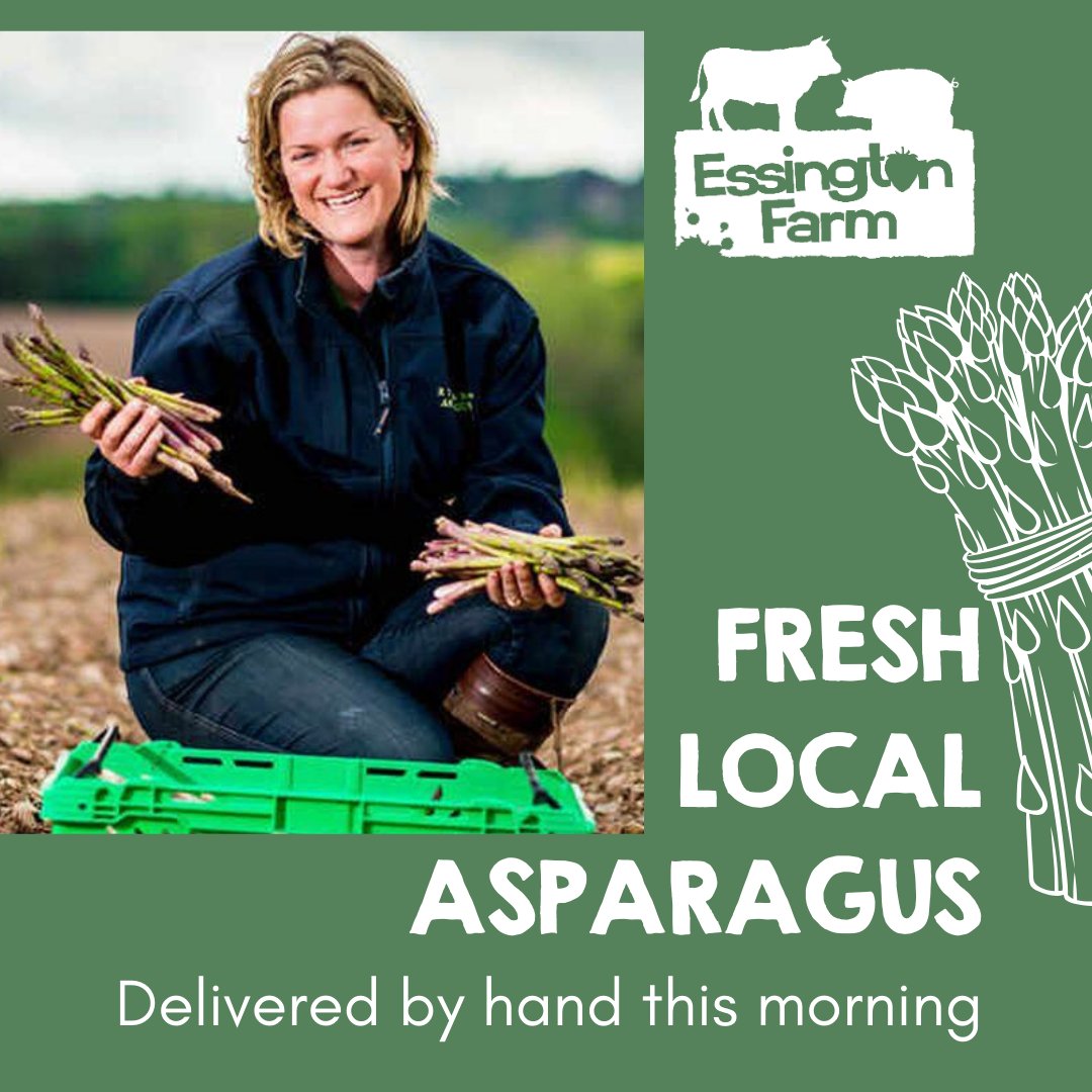 From field to fork, our asparagus has been hand cut and delivered to our farm shop this morning.
You can’t get fresher than that!

#essingtonfarm #fieldtofork #asparagusseason #seasonalproduce #asparagus #freshproduce #delicious