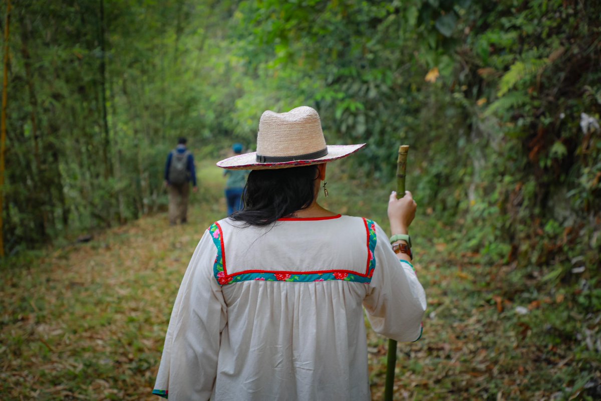 ⛰️ En Puebla, en el Parque Nacional Carmen Serdán junto al equipo en territorio. Esta Área Natural Protegida recién decretada alberga especies de flora y fauna que son clave para la diversidad de la región, qué alegría constatar que está en manos de verdaderos guardianes del