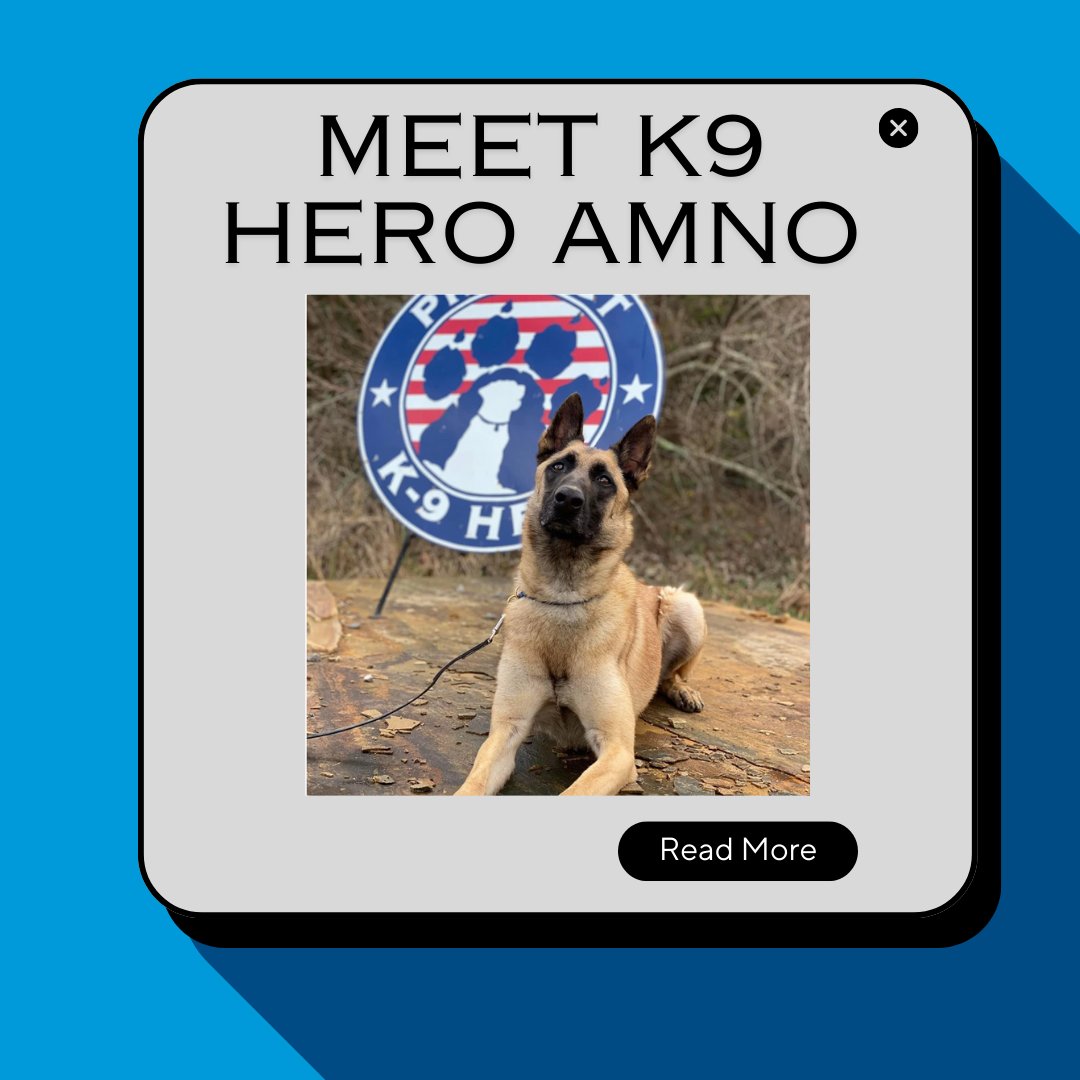 TrustedDriver tweet media