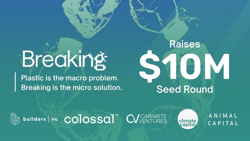 Mark Blackwell tweet media