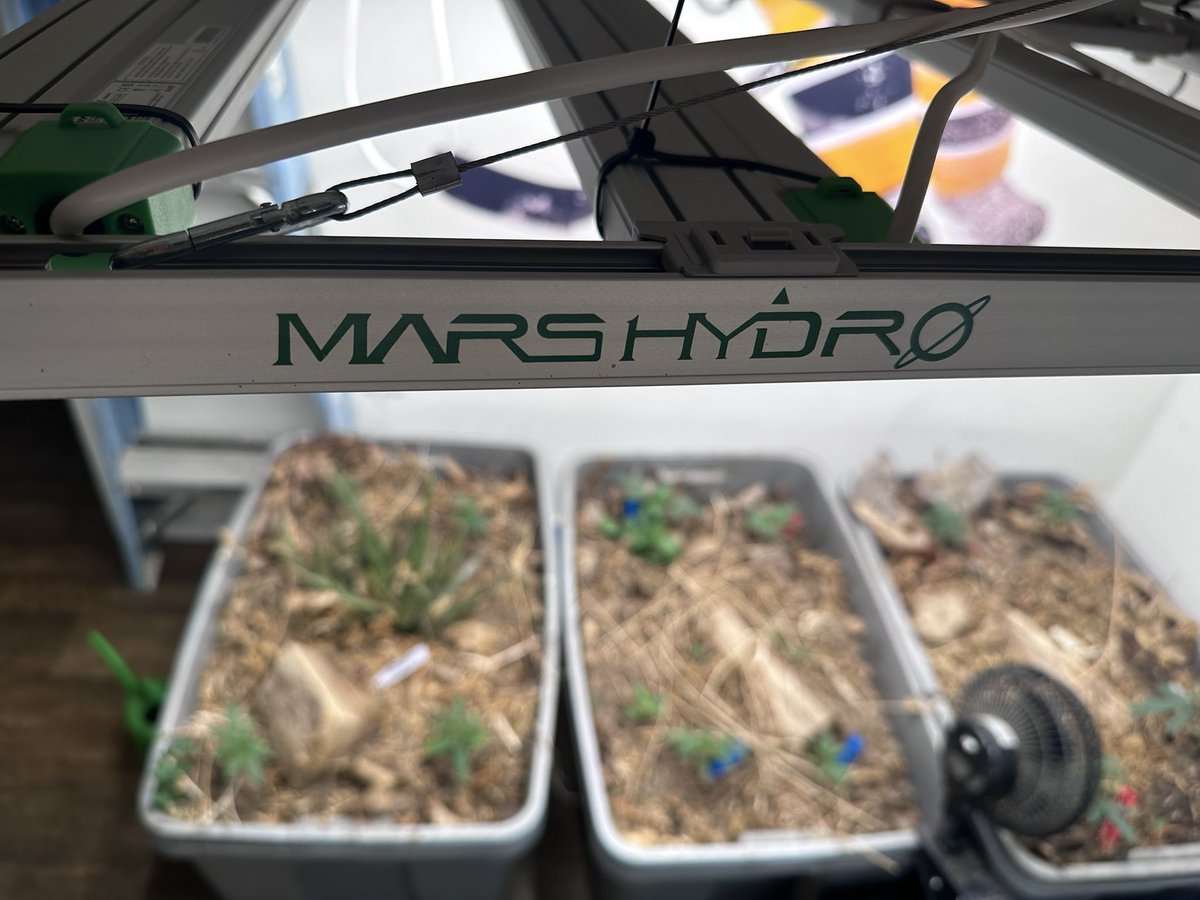 Todays view, we have a few with explosive growth. Who doesn’t like to see that? For me around 65% of the time the fast growers are males. What do you prefer to grow, females or regs? The second photo is from April 7. #marshydrofsc6500 #marshydrots2000 #marshydrofc3000 @Henry117_