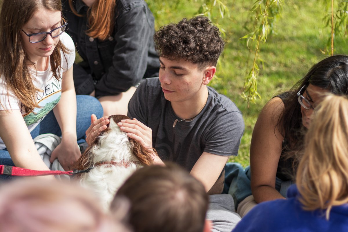 🐶 Cuddle Convention with Hearing Dogs for Deaf People (Wednesday 1 May) Join us on the grassed area outside Bill Bryson Library between 11.30am - 2pm on Wednesday 1 May to meet and greet some of our lovely canine visitors from Hearing Dogs for Deaf People! (1/2)