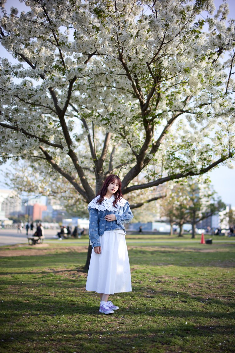 kei(@tiara_keii)さん
桜の記憶
#TIARA撮影会
#kei
#ポートレート
#Portrait