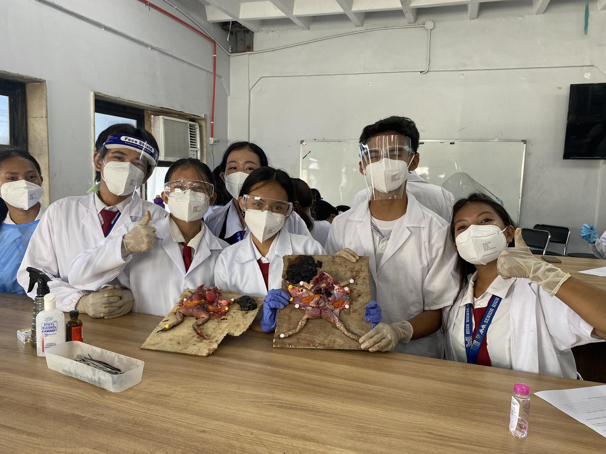 j_gordove's tweet photo. DISSECTING FROG DONE ✅🐸
#Disect #Frog #Activity https://t.co/AuuIhmSyWI