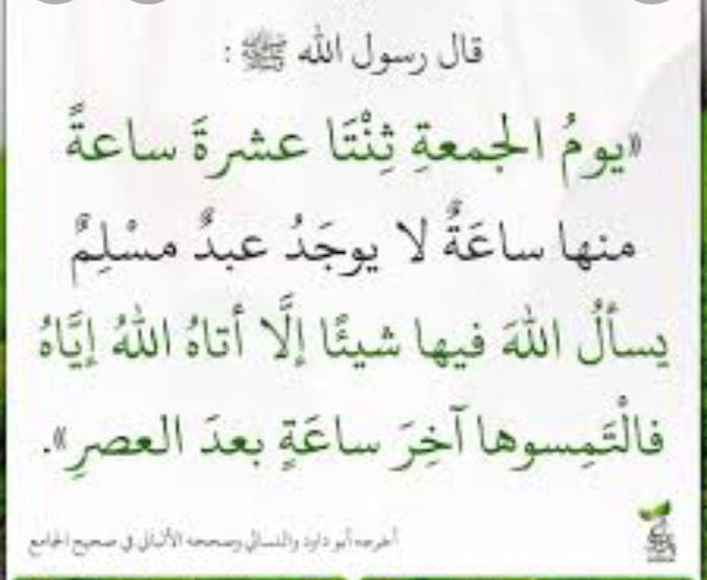 ابو ثامر (@aboalbra77778) on Twitter photo 