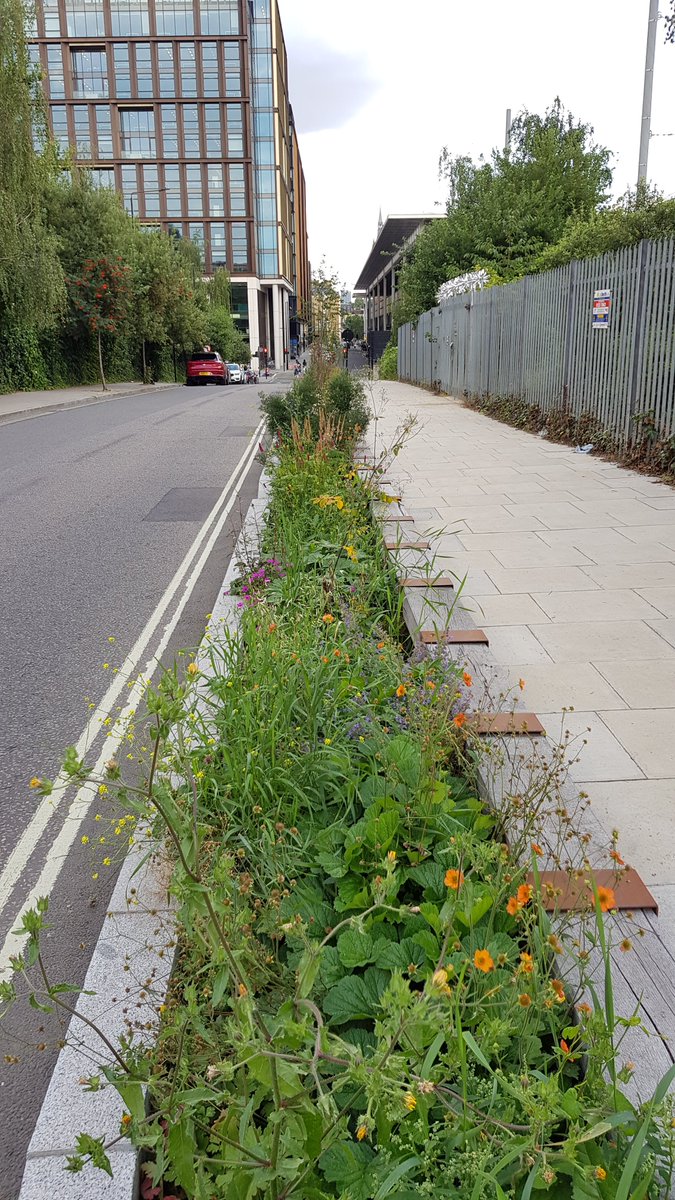 This verge close to St Pancras station has dropped kerbs so the rain can water the plants. It stops almost 50,000 litres of water rushing into the sewers and cuts local flood risk. 2/2